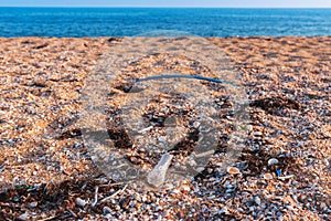 Global problem- plastic pollution beach