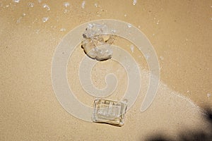 Plastic Polution - A plastic container and jellyfish washed up at a Thai beach, Krabi, Thailand