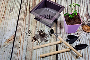 Plastic pots, and Gardening tools.