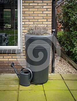 Plastic rain barrel with plants attached to the drainage of modern house. Harvesting and reusing rainwater.