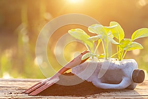 Plastic recycle concept : People planting vegetable in plastic b