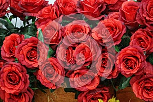 Plastic red roses, suitable for home decoration