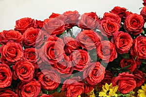 Plastic red roses, suitable for home decoration