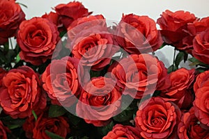 Plastic red roses, suitable for home decoration