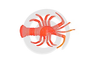 Plastic (rubber) red lobster (crayfish, crawfish) toy for bath, mockup