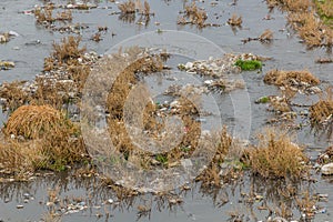 Plastic rubbish in Zanja Rud river in Ir photo