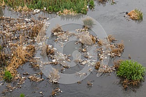 Plastic rubbish in Zanja Rud river in Ir photo