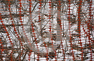 Plastic safety net for construction site. Texture background of net. Construction grid