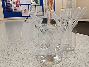 Plastic science pipettes stored in 2 glass beakers