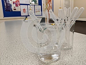 Plastic science pipettes stored in 2 glass beakers photo