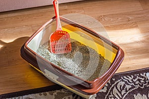 Plastic scoop in a cat litter box, standing on a floor.