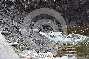 plastic sewer pipe in gray earth drains waste into water