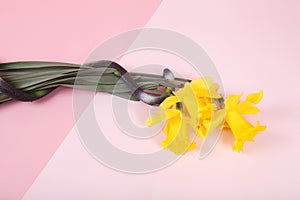 a plastic snake wrapped around a bouquet of daffodils