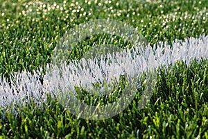Plastic Soccer Grass