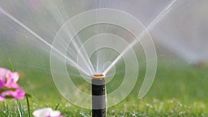 Plastic sprinkler irrigating grass lawn with water in summer garden. Watering green vegetation duging dry season for