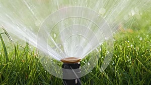 Plastic sprinkler irrigating grass lawn with water in summer garden. Watering green vegetation duging dry season for