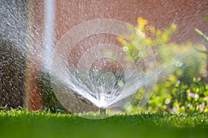 Plastic sprinkler irrigating grass lawn with water in summer garden. Watering green vegetation duging dry season for