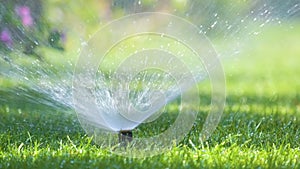 Plastic sprinkler irrigating grass lawn with water in summer garden. Watering green vegetation duging dry season for