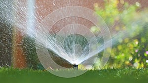 Plastic sprinkler irrigating grass lawn with water in summer garden. Watering green vegetation duging dry season for