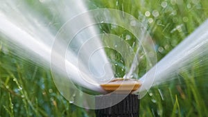 Plastic sprinkler irrigating grass lawn with water in summer garden. Watering green vegetation duging dry season for