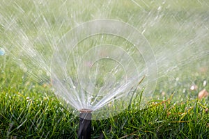 Plastic sprinkler irrigating grass lawn with water in summer garden. Watering green vegetation duging dry season for