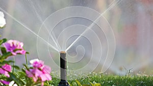 Plastic sprinkler irrigating grass lawn with water in summer garden. Watering green vegetation duging dry season for