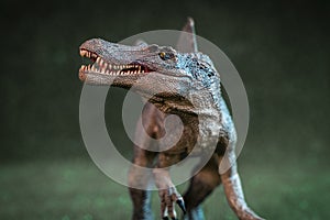 Plastic statuette of velociraptor studio shot