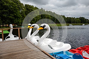 Plastic swan pedal boat on a lake