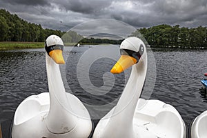 Plastic swan pedal boat on a lake