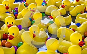 Plastic Toy Ducks