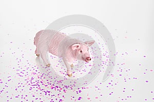 Plastic toy figurine of a pig on a white background.