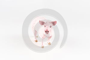 Plastic toy figurine of a pig on a white background.