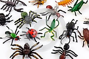 Plastic toy insects