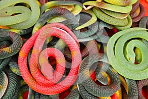 Plastic toy snakes