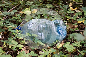 Plastic trash in the forest. Tucked nature. Plastic container lying in the grass.