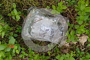 Plastic trash left in the forest. Plastic container in the forest litter