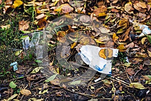 Plastic trash lies among the leaves. Environmental pollution concept.