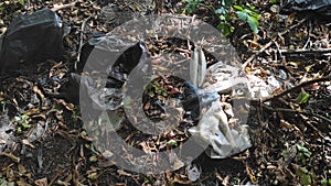 Plastic trash thrown out in the forest in nature. The problem of environmental pollution. Garbage thrown out in the