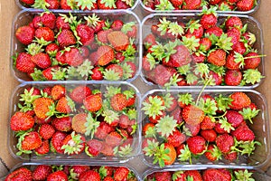 Plastic trays with strawberries in a cardboard box