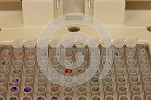 Plastic tubes in a thermocycler used for PCR polymerase chain reaction