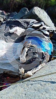 Plastic waste is a factor in water pollution in rivers and can affect fish populations as well as polute soil nutrients