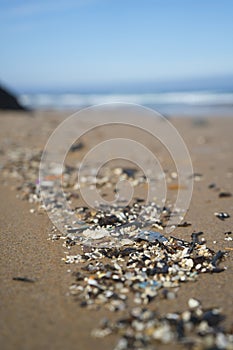 Plastic waste and micro plastic washed on the shore of the atlantic ocean