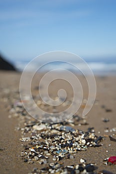 Plastic waste and micro plastic washed on the shore of the atlantic ocean