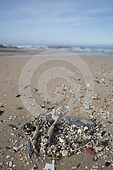 Plastic waste and micro plastic washed on the shore of the atlantic ocean