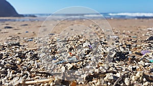 Plastic waste and micro plastic washed on the shore of the atlantic ocean
