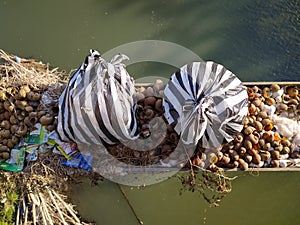 Plastic waste that is thrown carelessly on the bridge frame. photo