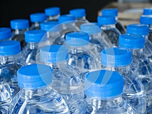 Plastic Water Bottle caps in rows Drinking Product