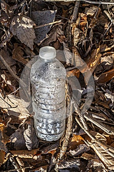 Plastic water bottle polluting the environnement photo