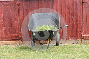Plastic Wheelbarrow with Grass.