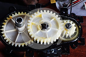 Plastic white gears of the mechanism in yellow grease